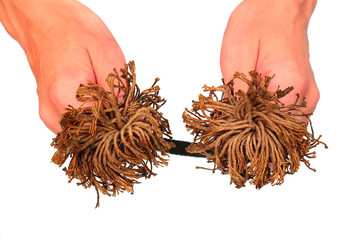 Hands hold old rope with frayed ends, isolated against white background1