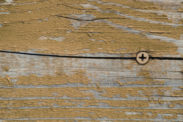 Wooden wall brown surface background with nail. Timber beige rustic old wooden detail with pin...