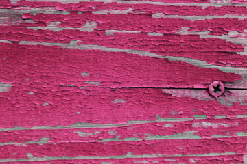 Wooden wall surface background with nail. Timber purple color rustic old wooden detail with pin...