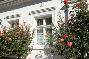 Traditional architecture of Putbus (the white town) on the island Rügen, Germany