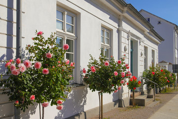 Fototapeta na wymiar Traditional architecture of Putbus (the white town) on the island Rügen, Germany