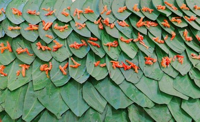Sweet flower or gulkand on betel leaves