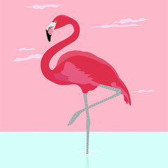 illustration of a pink flamingo
