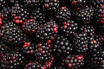 Background of fresh blackberries texture. Berries blackberry pattern. Top view