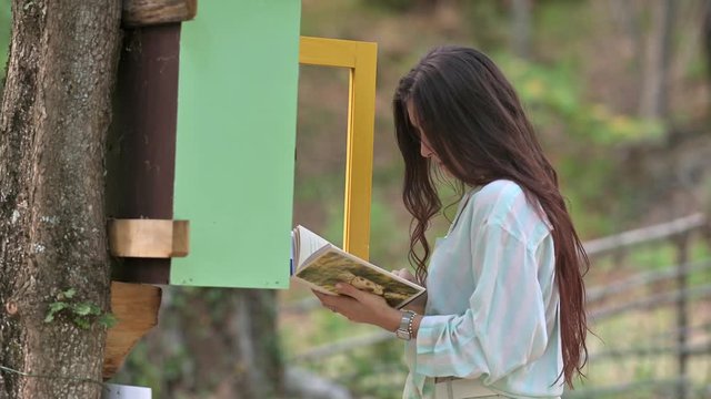 biblioteca nel bosco
