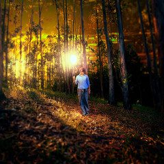 Man with a balloon made of light in the forest