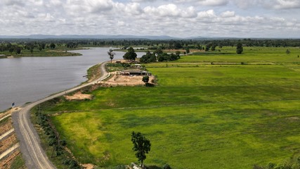 High angle shot river flows through the rice fields.