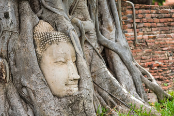 Ayutthaya, Thailand - June, 22, 2020 : Buddha Head in Tree Roots in Wat Mahathat, Ayutthaya, Thailand.Phra Nakhon Sri Ayutthaya is the Unesco world heritage.