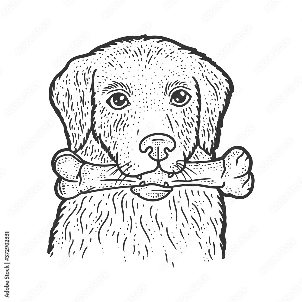 Wall mural dog with a bone in his teeth sketch engraving vector illustration. T-shirt apparel print design. Scratch board imitation. Black and white hand drawn image.