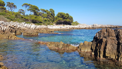 Landscape in the Cap d'Antibes, South of France