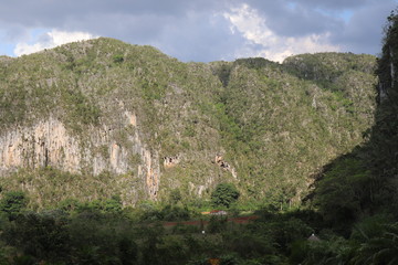 キューバのハバナからの世界遺産のビニャーレス渓谷ツアーで、巨大なプレイストリア壁画　(Mural de la Prehistoria)　にいく。　人への進化を描いたものといわれている。 © Hitoshi