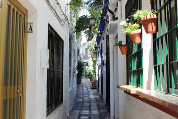 Andalusian-style street in the old town of Marbella