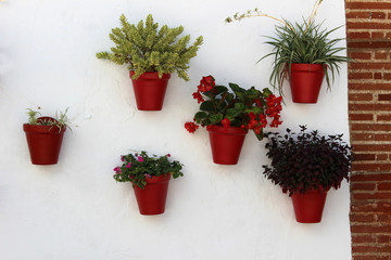 Red pots with flowers on white wall. Typical decoration of Andalusia (Spain)