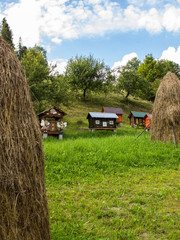 handmade houses for bee in a mountain village