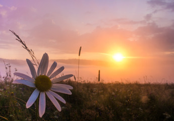 wonderful summer gentle sunrise in the mountains