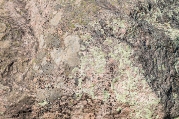 Lichen-covered red granite texture