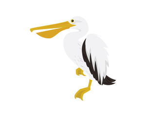 Landing Pelican and Watching Around Illustration