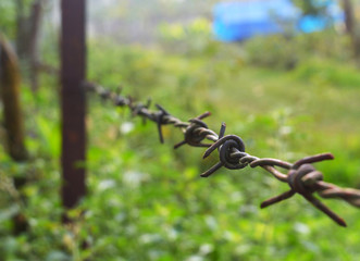 rusty barbed fence
