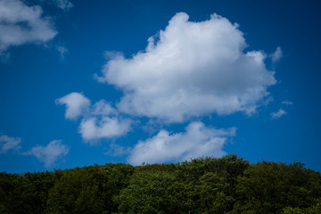 Obraz premium Wolken Himmel Wald