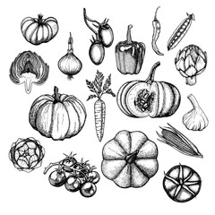 Vector set with ink vegetable