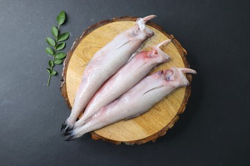 Fresh sea fish Bombay duck fish or Bombil and ingredients for cooking, green coriander, curry leaves, and garlic. black background top view. Copy space
