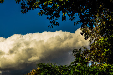 Obraz premium clouds over the forest