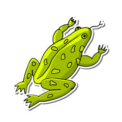 Obraz premium Vector illustration of a frog in cartoon style. Isolated object on a white background. Hand drawn sketch.