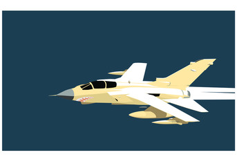 Fototapeta na wymiar Tornado. Graphic drawing of a modern jet fighter in flight. Vector image for illustration.