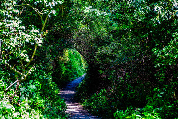 Réserve Nsturelle La petite Camargue Alsacienne, in Alsace, France