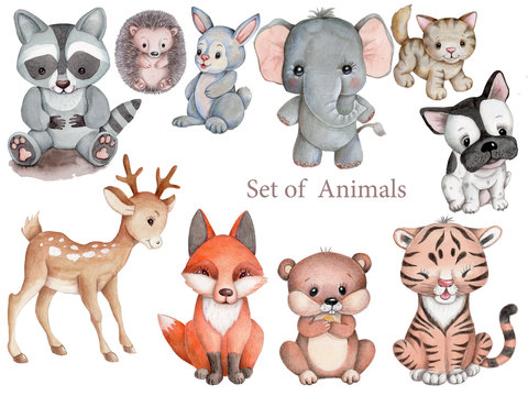 Set of animals. Watercolor hand painted illustrationas for kids. Isolated on white background.