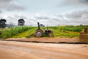 Old Tractor