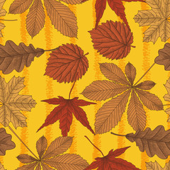 Fototapeta na wymiar Autumn leaves bright seamless pattern in vintage style. Vector illustration in engraved style