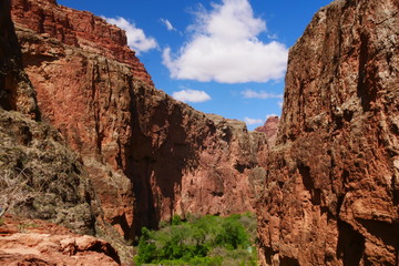 Fototapeta premium Havasupai Indian Reservation, Grand Canyon, Arizona, United States