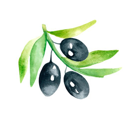 Olives watercolor. Ayurvedic herbs. Design of notebooks and albums with cute twigs. Pattern with black olives on a twig. Printing on fabrics, clothing, and dishes. Ayurvedic.