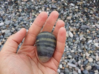 wet sea stones small  rocks natural background  seascape vacation concept wallpaper texture close up selective focus