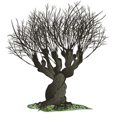 Whomping Willow without foliage. Vector illustration.