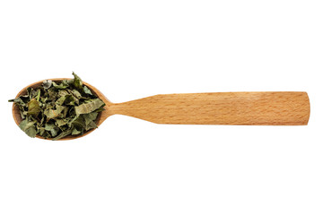 Dried leaves of Vaccinium myrtillus in a wooden spoon on a white background. Phytotherapy and disease prevention. Herbal collection for medicinal tinctures. Herbal tea in folk medicine