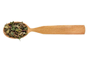 Dried Persicaria hydropiper in a wooden spoon on a white background. Phytotherapy and disease prevention. Herbal collection for medicinal tinctures. Herbal tea in folk medicine. The view from the top