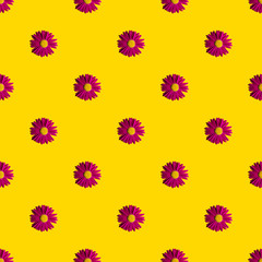 Fototapeta na wymiar Fashionable summer floral pattern. Bright pink daisies on a yellow background with hard shadows, flat lay, top view, seamless texture. Minimalistic background in style pop art. Fabric and card ideas
