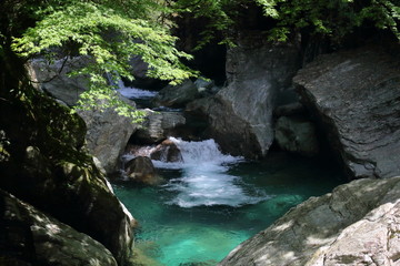 緑が美しい渓谷　安居渓谷　夏（高知県）