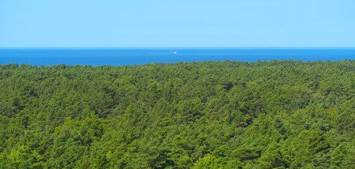 Fototapeta na wymiar Panoramic view of the pine forest next to the sea.