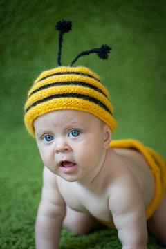 baby six months old in a bee costume