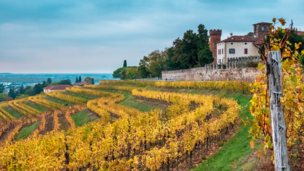 Naklejka premium Autumn sunset in the vineyards of Collio Friulano