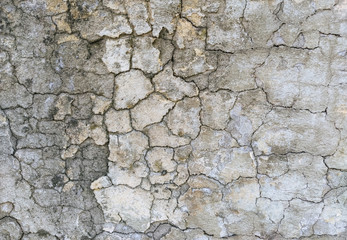 Texture of gray, dirty, cracked concrete wall. Cracks background.