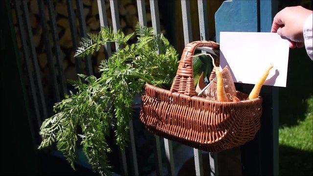 Frau steckt leere Karte zu Korb mit Nachbarschaftshilfe f&uuml;r Corona, Covid-19, Pandemie, Geschenkkorb mit Karotten, Brot, Zucchini