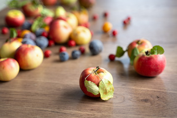 ripe apples on a  table