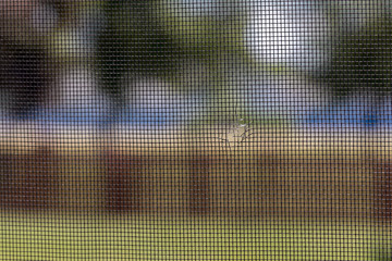 Closeup of old window screen mesh with hole. Concept of DIY home repair, maintenance, insect and bug control