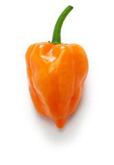 habanero hot chili pepper isolated on white background - obrazy, fototapety, plakaty