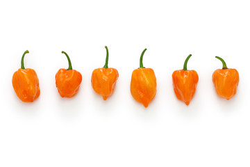 habanero hot chili pepper isolated on white background
