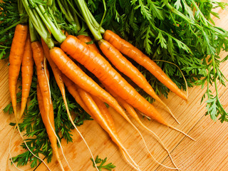 Fresh baby carrots